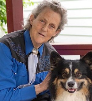 visual thinking by temple grandin